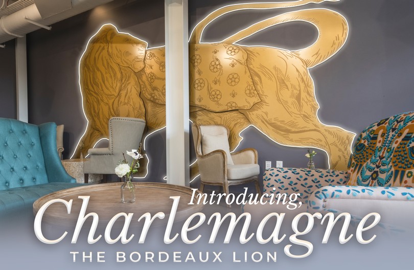 Introducing Charlemagne, the Bordeaux Lion