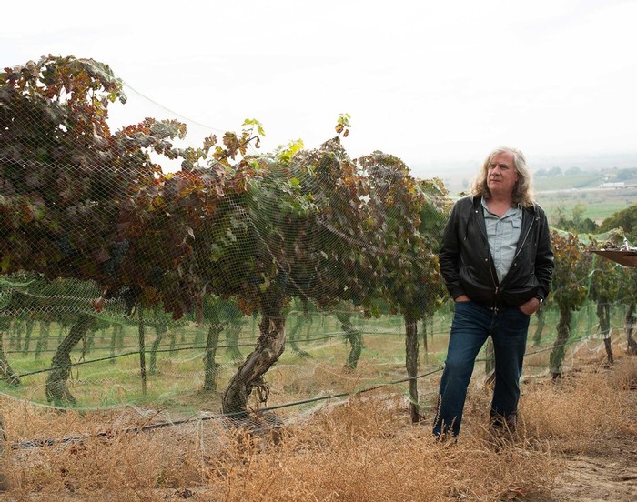 Chris Upchurch at Harrison Hill Vineyard