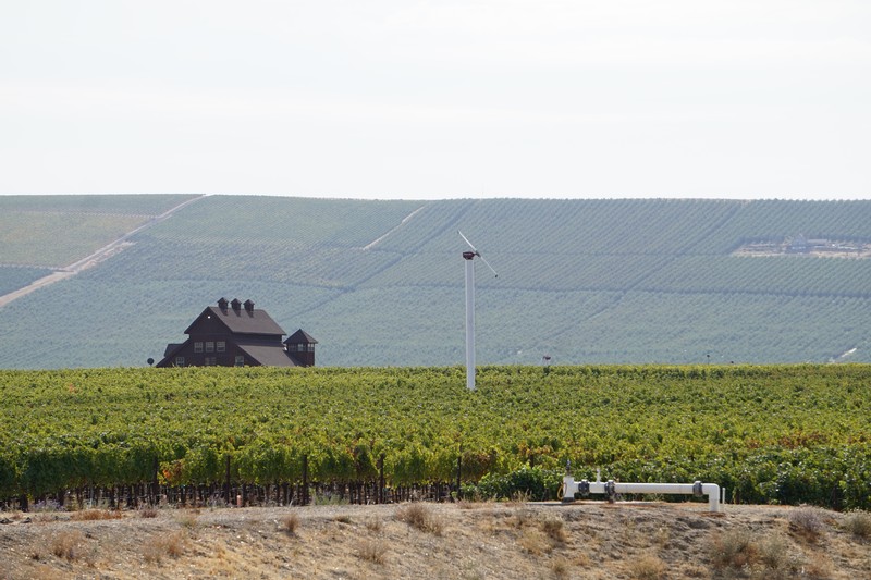 Ciel Du Cheval Vineyard