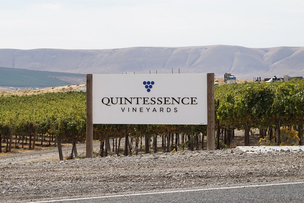 Quintessence Vineyard on Red Mountain AVA